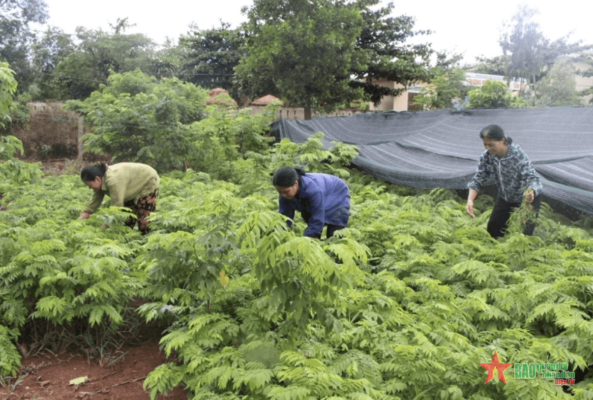 Đồng bào Pa Cô, Vân Kiều luôn ghi nhớ lời Bác dạy