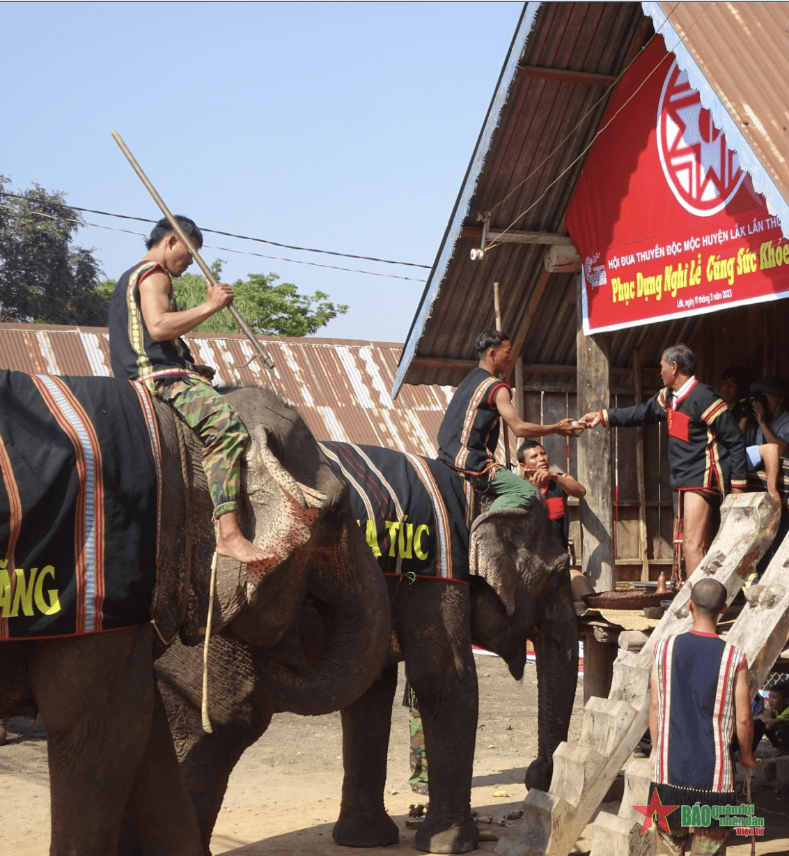 Độc đáo lễ cúng sức khỏe cho voi