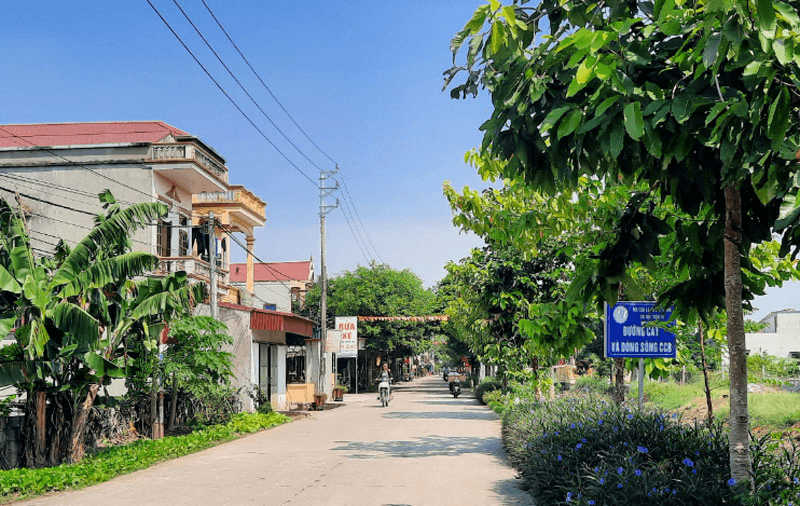 Chung sức làm thay đổi diện mạo làng quê