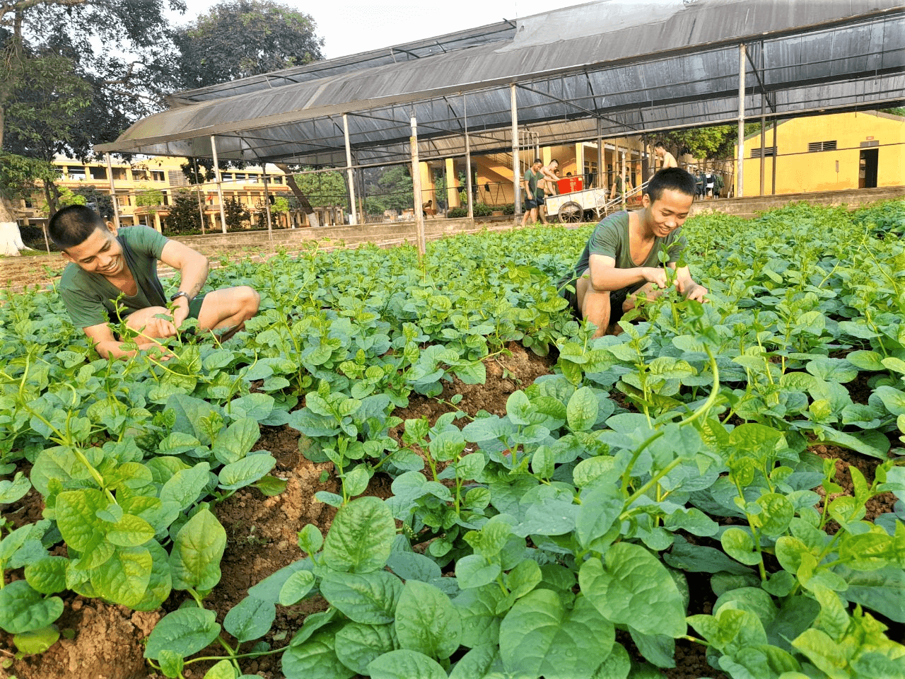 Khi chiến sĩ làm vườn