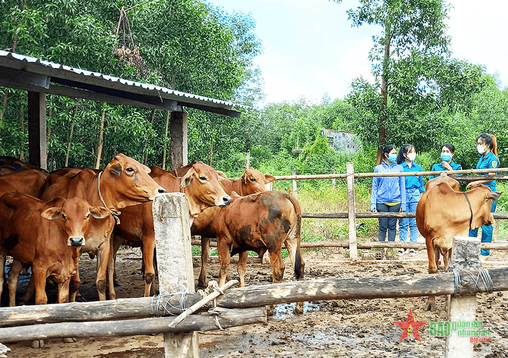 Dân quân nắm hộ gia đình nơi cư trú