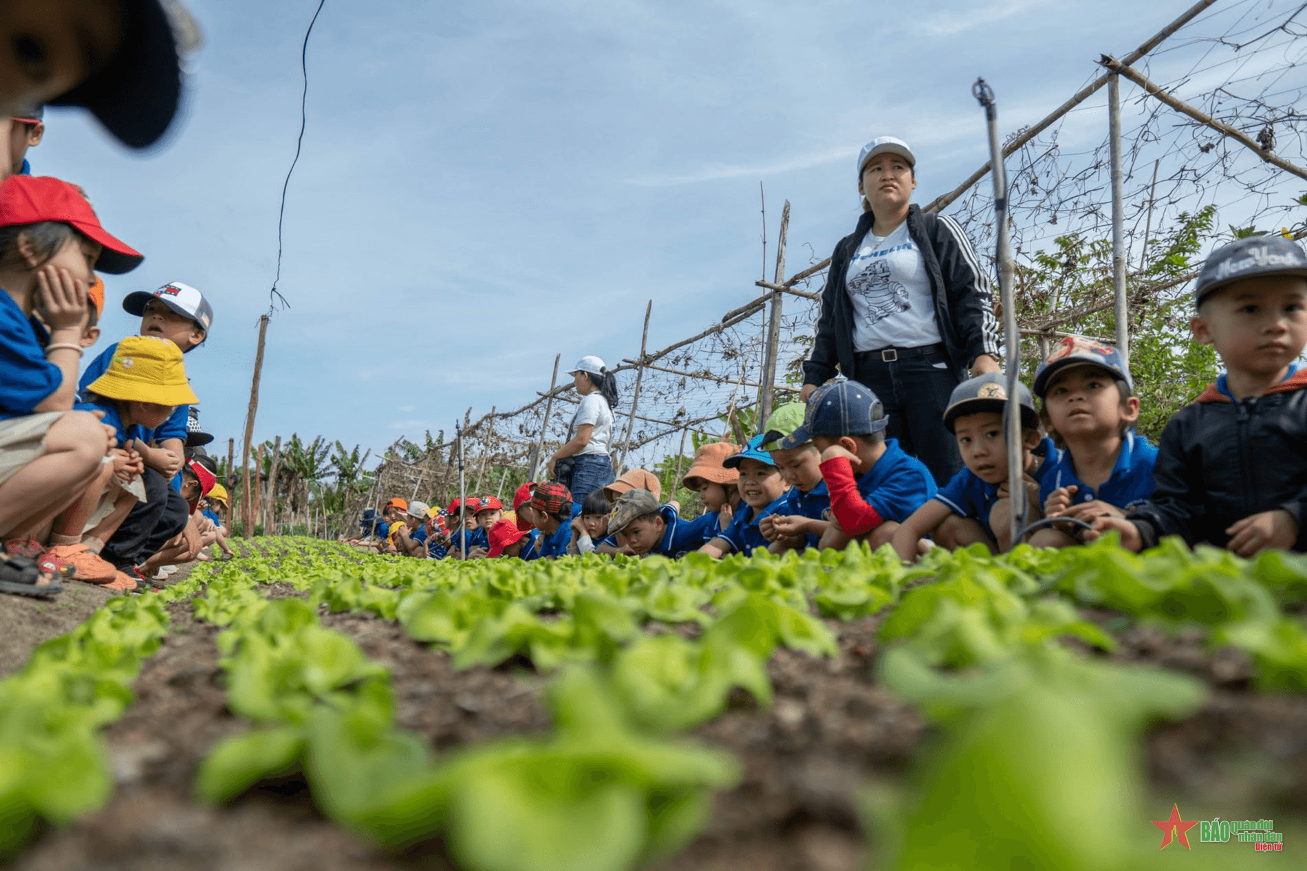 Định vị thương hiệu du lịch nông nghiệp, nông thôn Việt Nam
