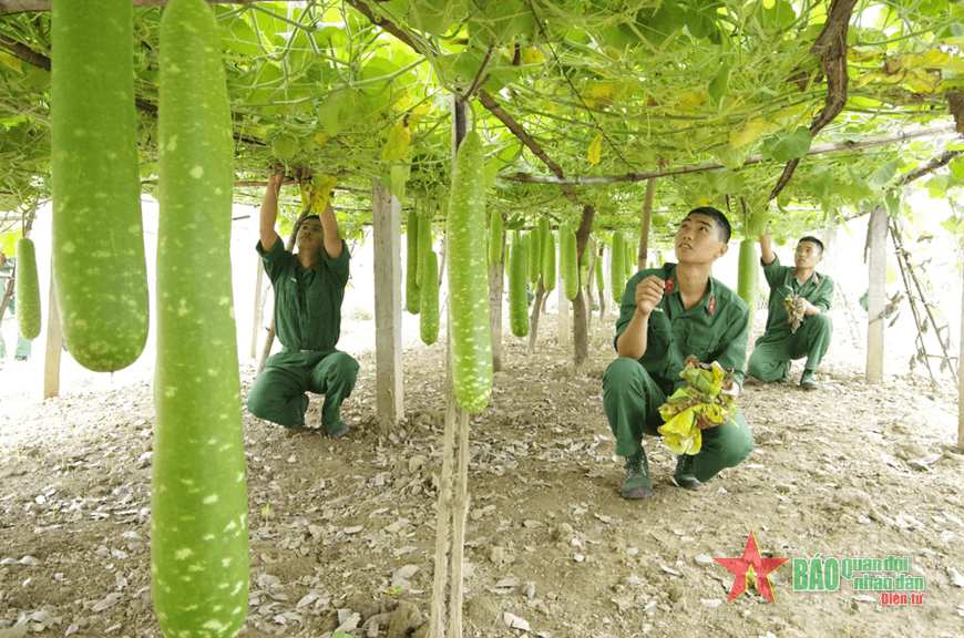 "Tự soi, tự sửa" ở Sư đoàn 312