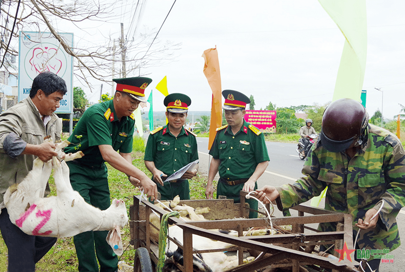 Chung tay xây dựng biên cương xanh, yên bình, no ấm