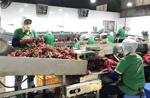 Giữ vững vai trò trụ đỡ của nông nghiệp