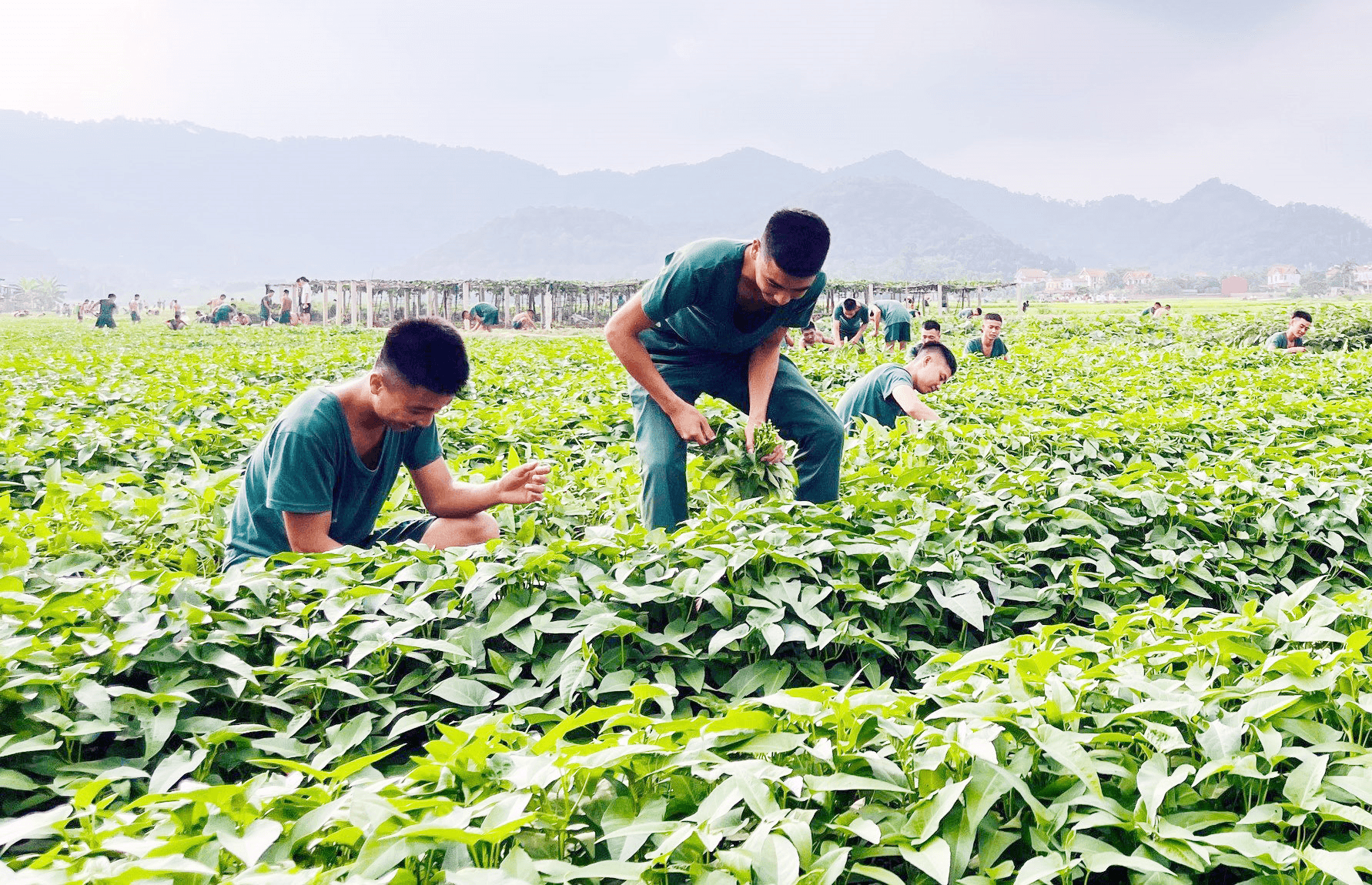 Tiểu đội trưởng: Trách nhiệm và nỗi niềm-Bài 2: Vai trò “anh cả” và những cái khó