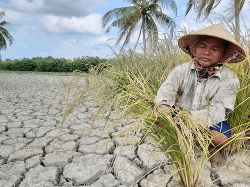 Góc nhìn nghị trường: Quan tâm hơn nữa đến điều tiết, quản lý, sử dụng hiệu quả nguồn nước