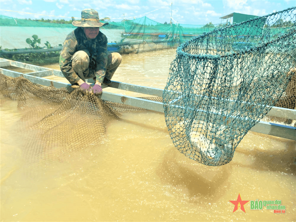 Nghề nuôi cá trên sông Sêrêpôk cần hỗ trợ để phát triển