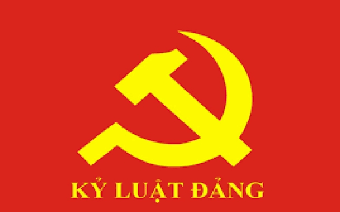 Ban Bí thư thi hành kỷ luật tổ chức đảng, đảng viên