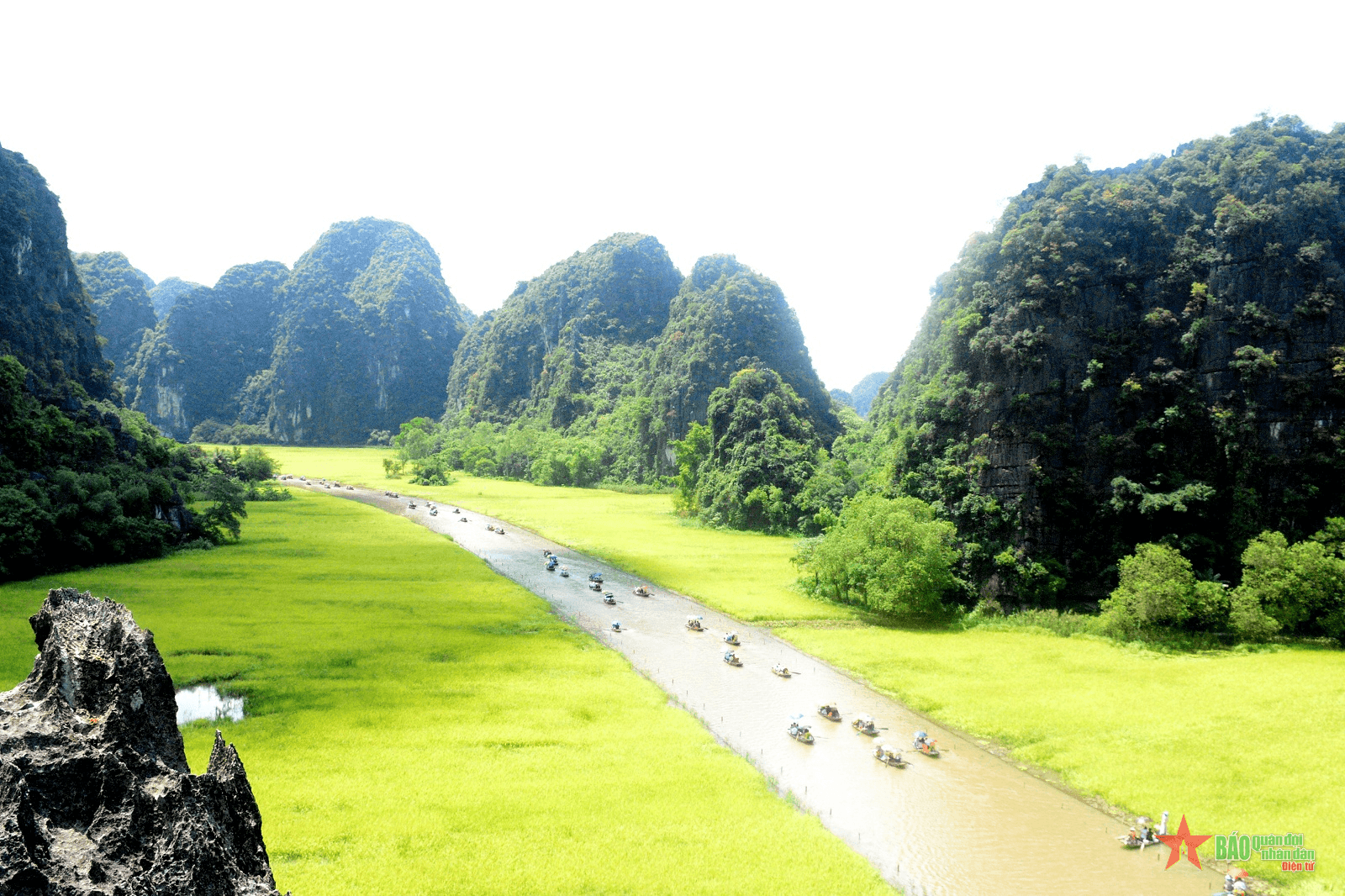 Tam Cốc mùa lúa thơm