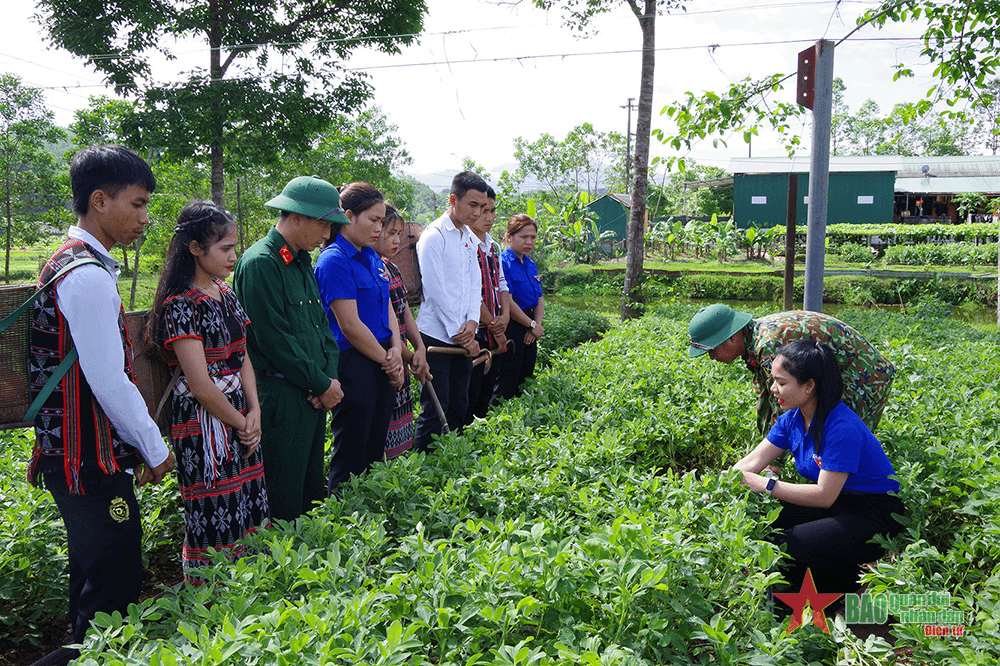Nhân lên “hạt giống đỏ” nơi biên cương