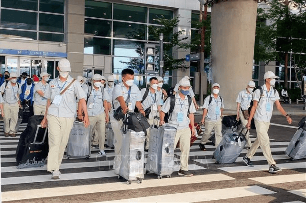 Hàn Quốc: Từ ngày 9-7, hạn chế lao động phổ thông diện E-9 chuyển việc