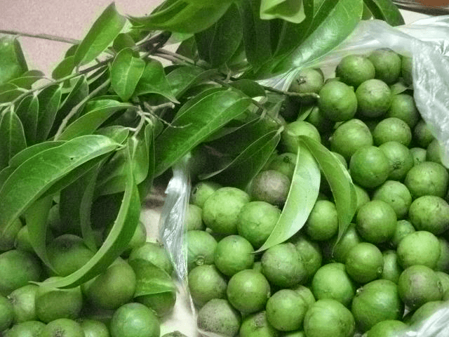 Nhớ vị sấu chua