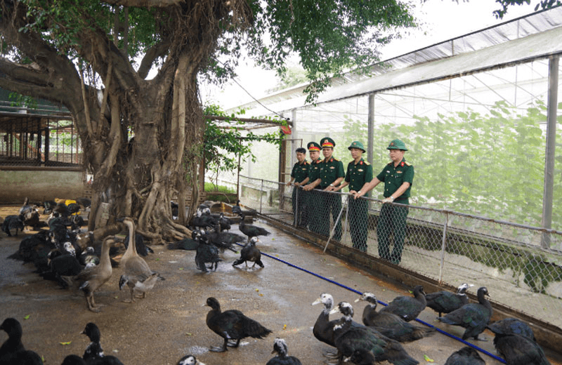 Bộ đội Hậu cần làm theo lời Bác Hồ dạy: “Nuôi quân giỏi, quản lý quân nhu tốt” ở Kho 205