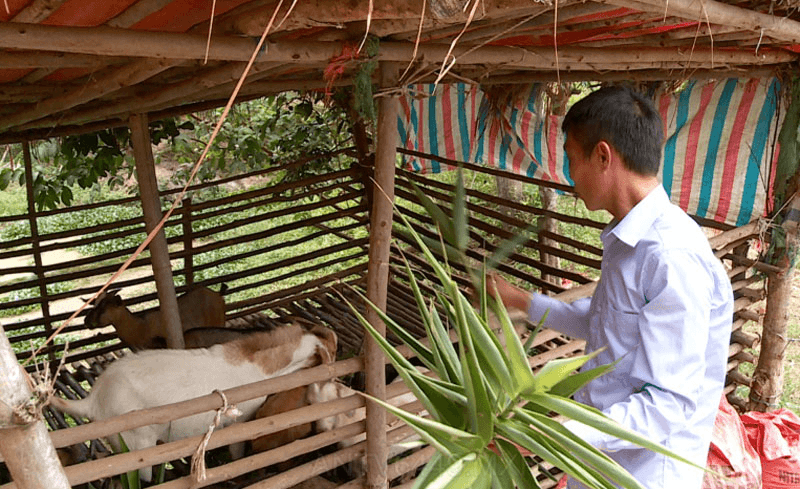 Thanh Long không còn là địa bàn nhức nhối về ma túy
