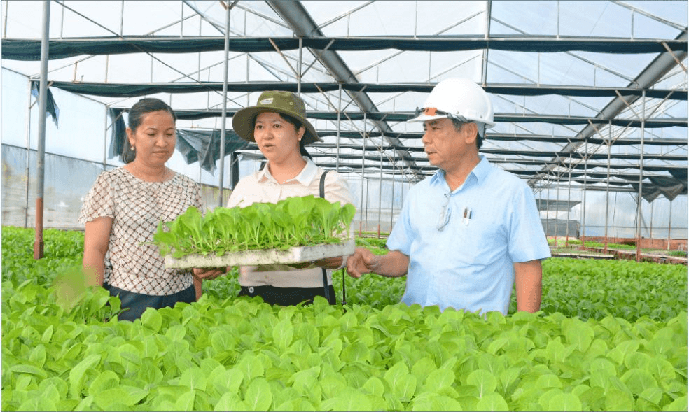 Khởi sắc từ chủ trương, hướng đi đúng