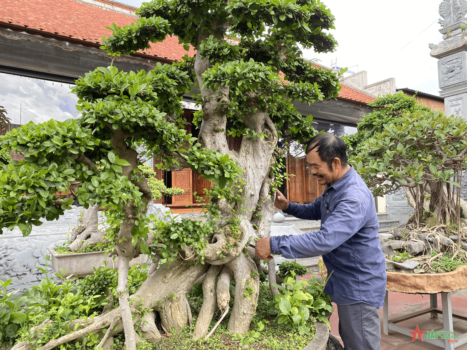 Người nông dân làm kinh tế giỏi, có tấm lòng vì cộng đồng