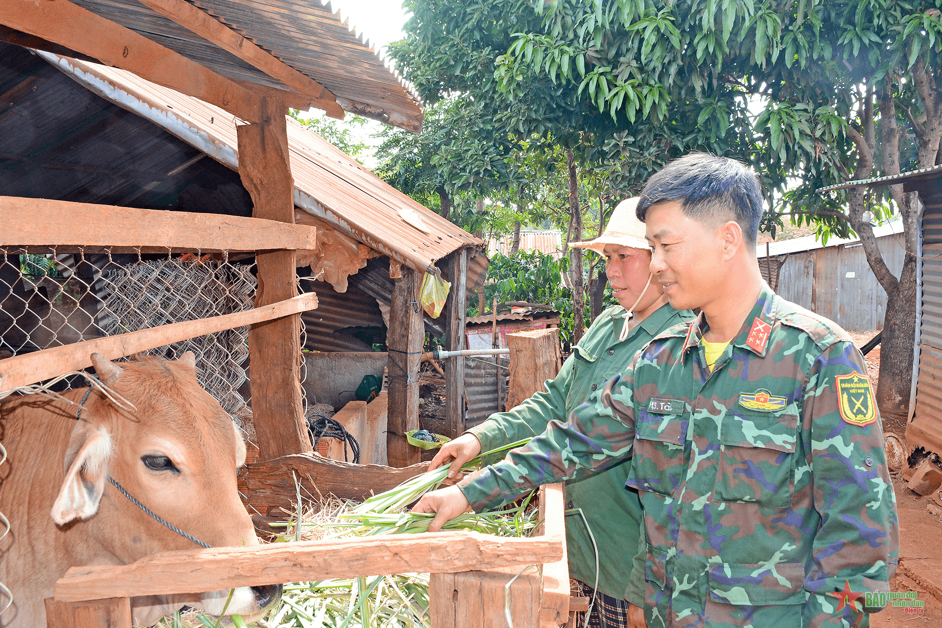 Trao sinh kế giúp dân thoát nghèo