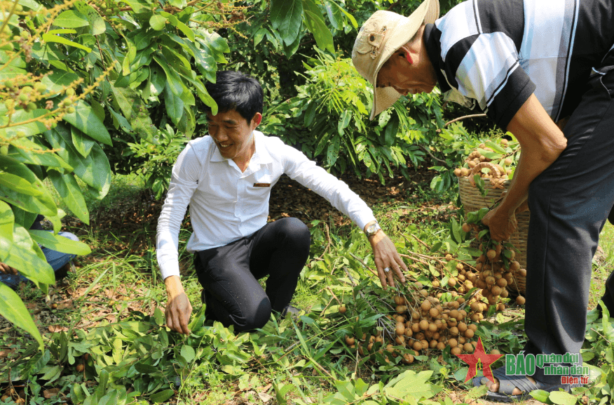 Đơn giản hóa các thủ tục vay vốn