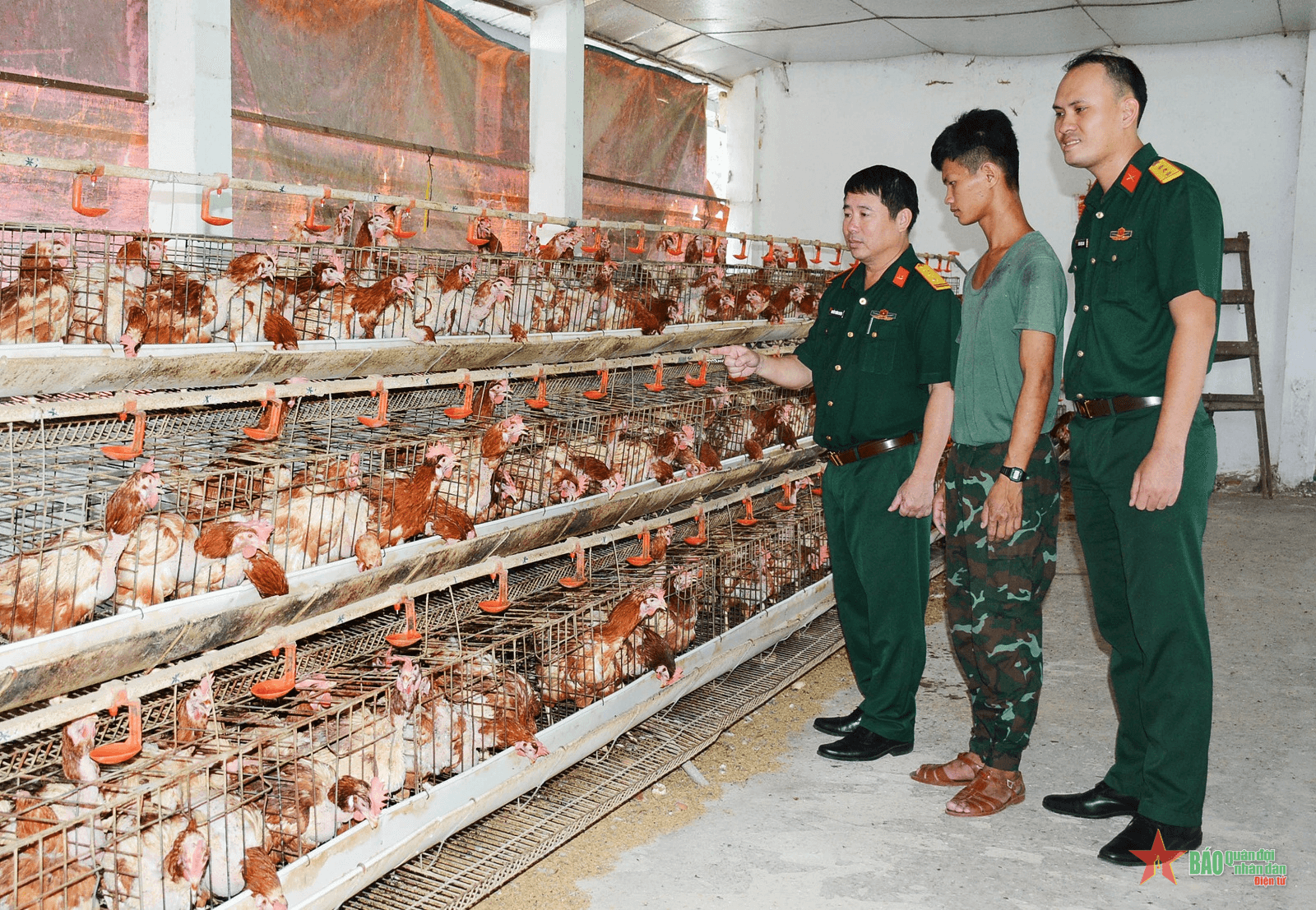 Điển hình tăng gia sản xuất ở Sư đoàn 309