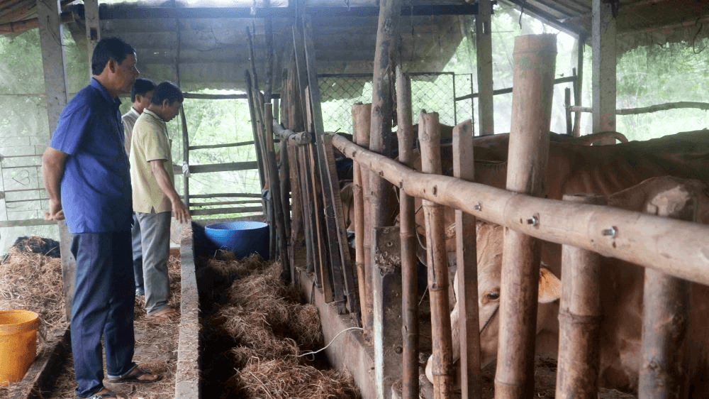 Thương binh vượt khó làm kinh tế giỏi