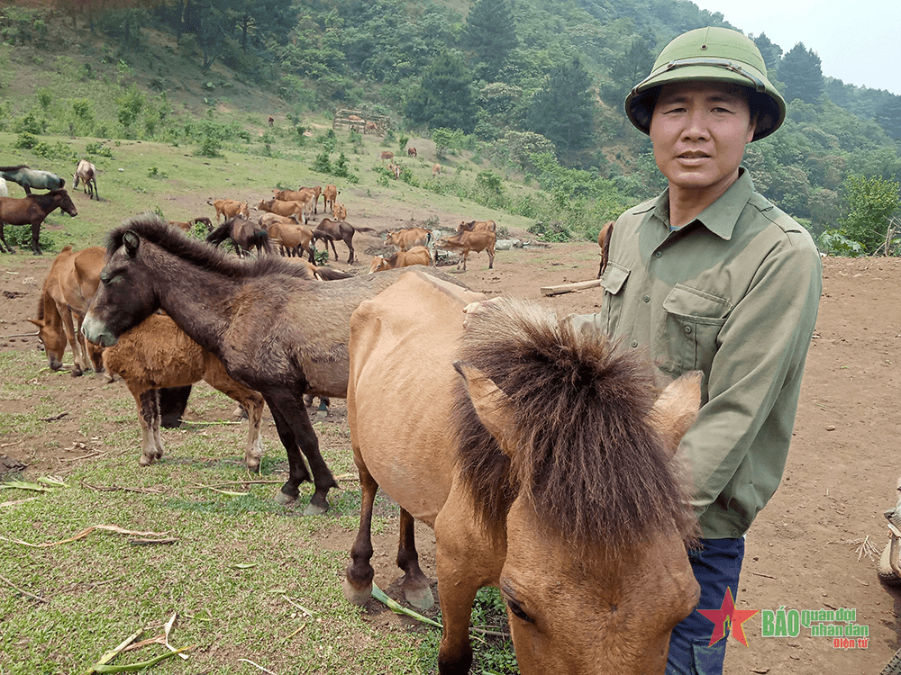 Thành công nhờ thay đổi cách nghĩ, cách làm