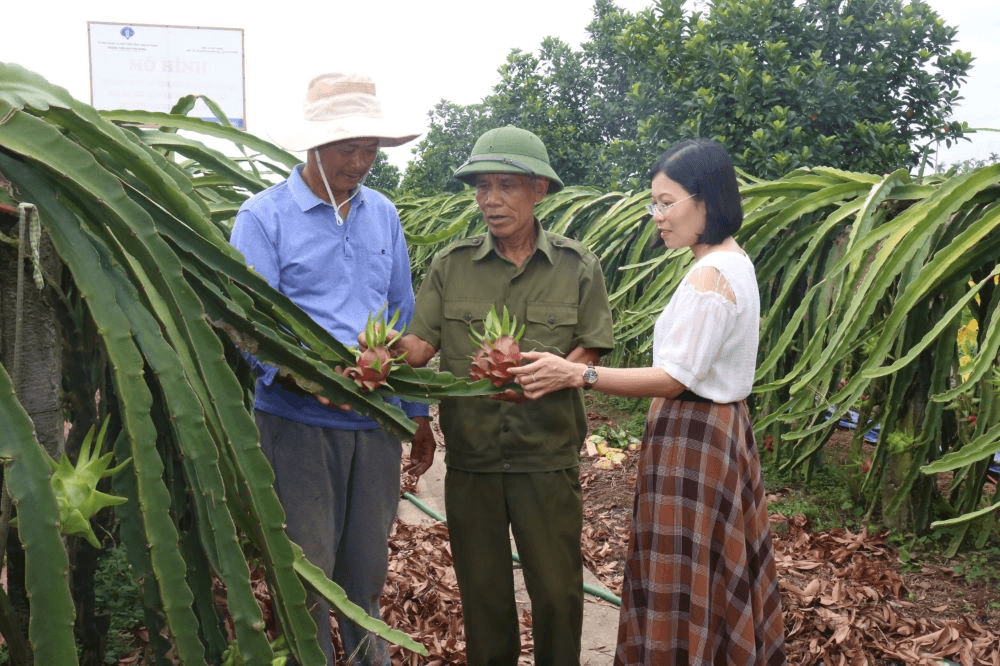 Ông Viên thanh long