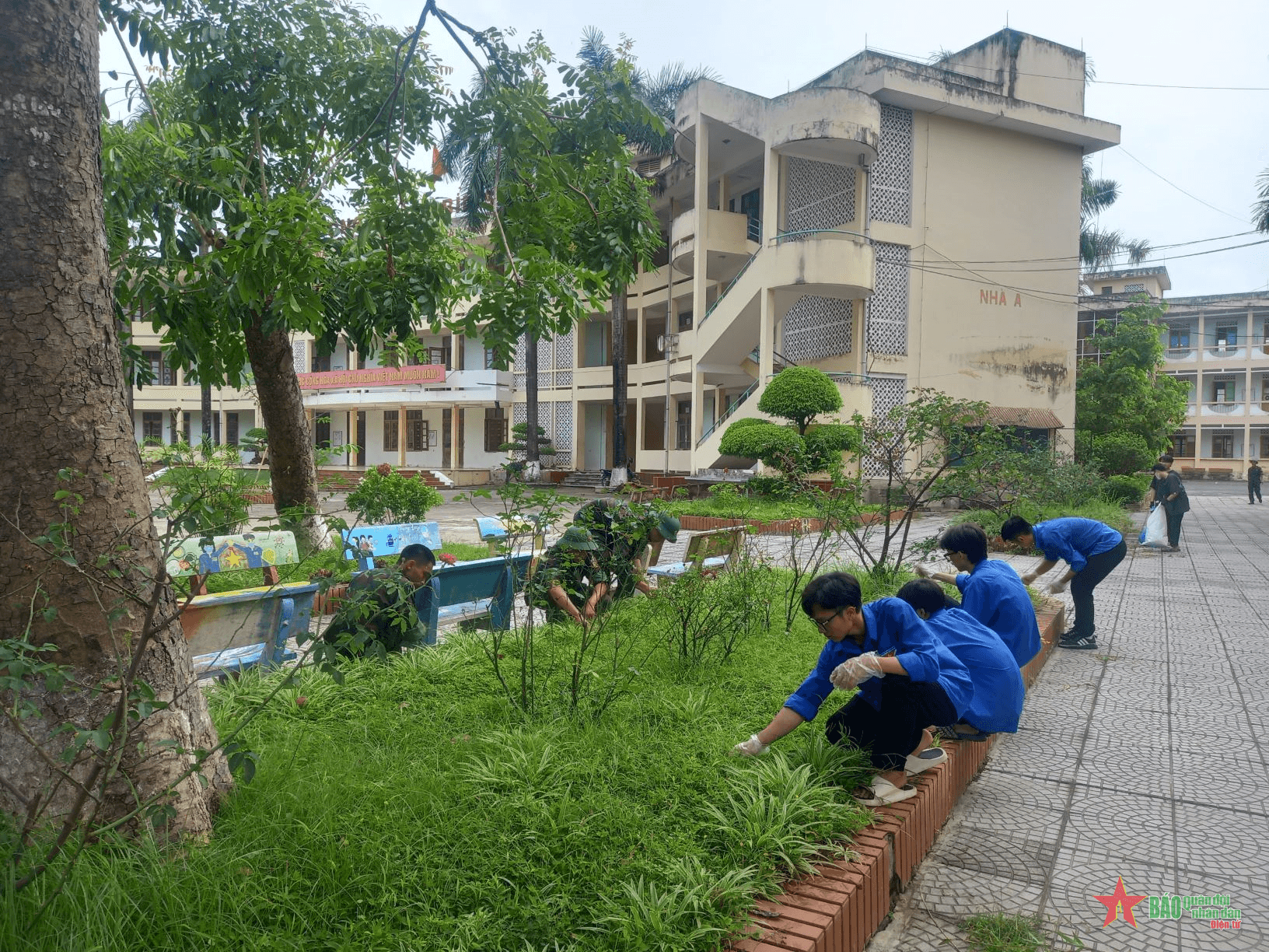 Tuổi trẻ Lữ đoàn Pháo binh 368 thực hiện nhiều phần việc ý nghĩa