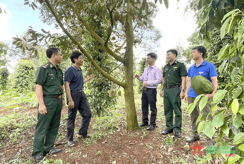 Góp sức để vùng biên Đắk Nông khởi sắc