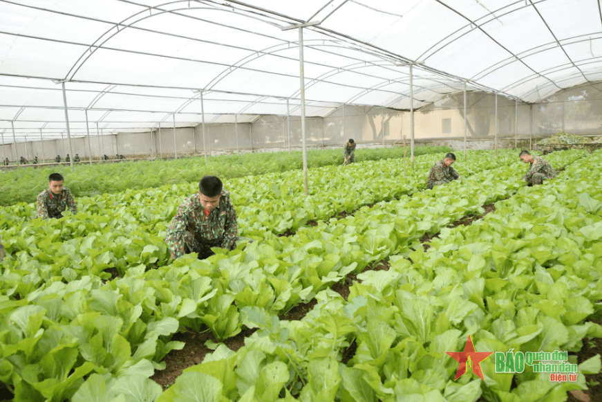 Chương trình phối hợp giữa Bộ Quốc phòng với Bộ Nông nghiệp và Phát triển nông thôn: Chung sức khai thác những tiềm năng, lợi thế