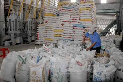 VinaCapital: Xuất khẩu sẽ phục hồi vào quý IV-2023 nhờ sản phẩm công nghệ cao