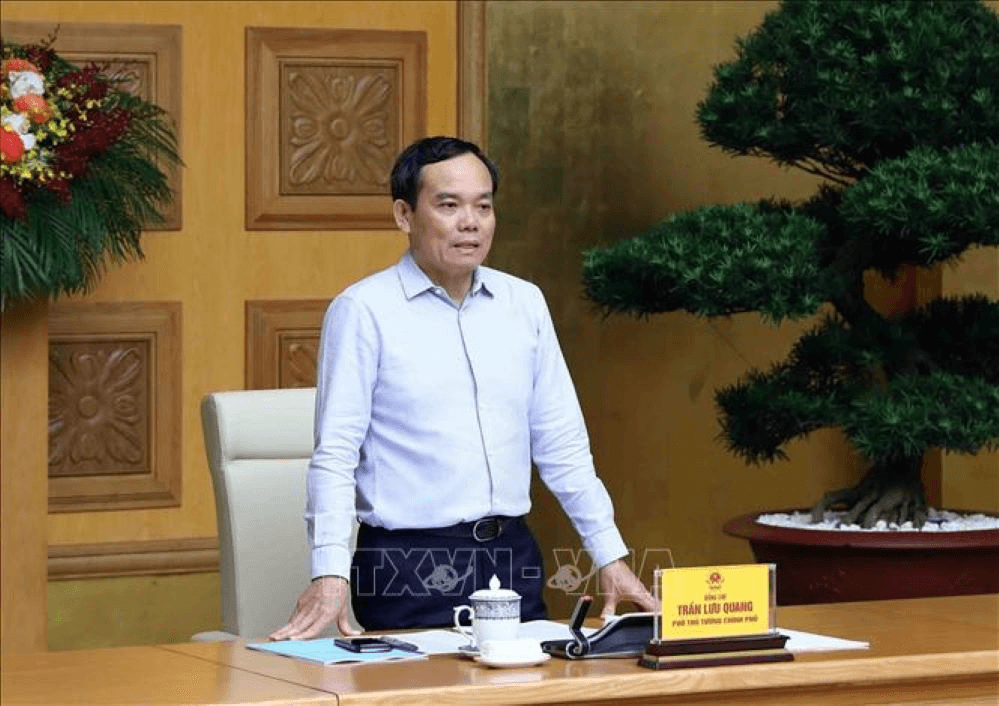 Phó thủ tướng Trần Lưu Quang: Quyết liệt các biện pháp để gỡ "thẻ vàng" của EC