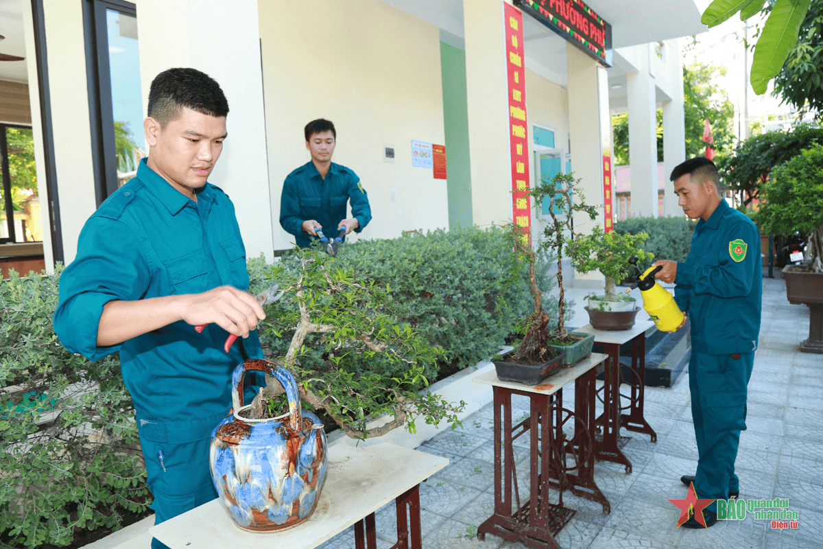 Không gian xanh của “sao vuông” Phước Mỹ