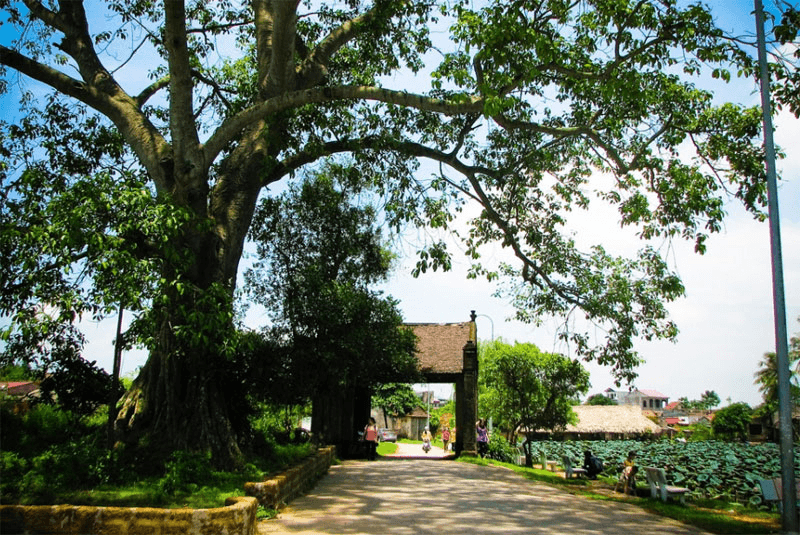 Giữ làng Việt