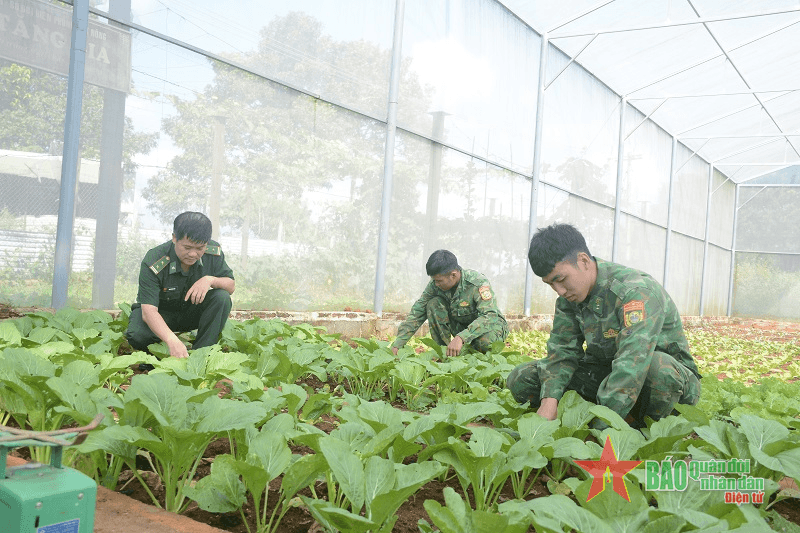 Chủ động bảo đảm hậu cần trong mùa mưa