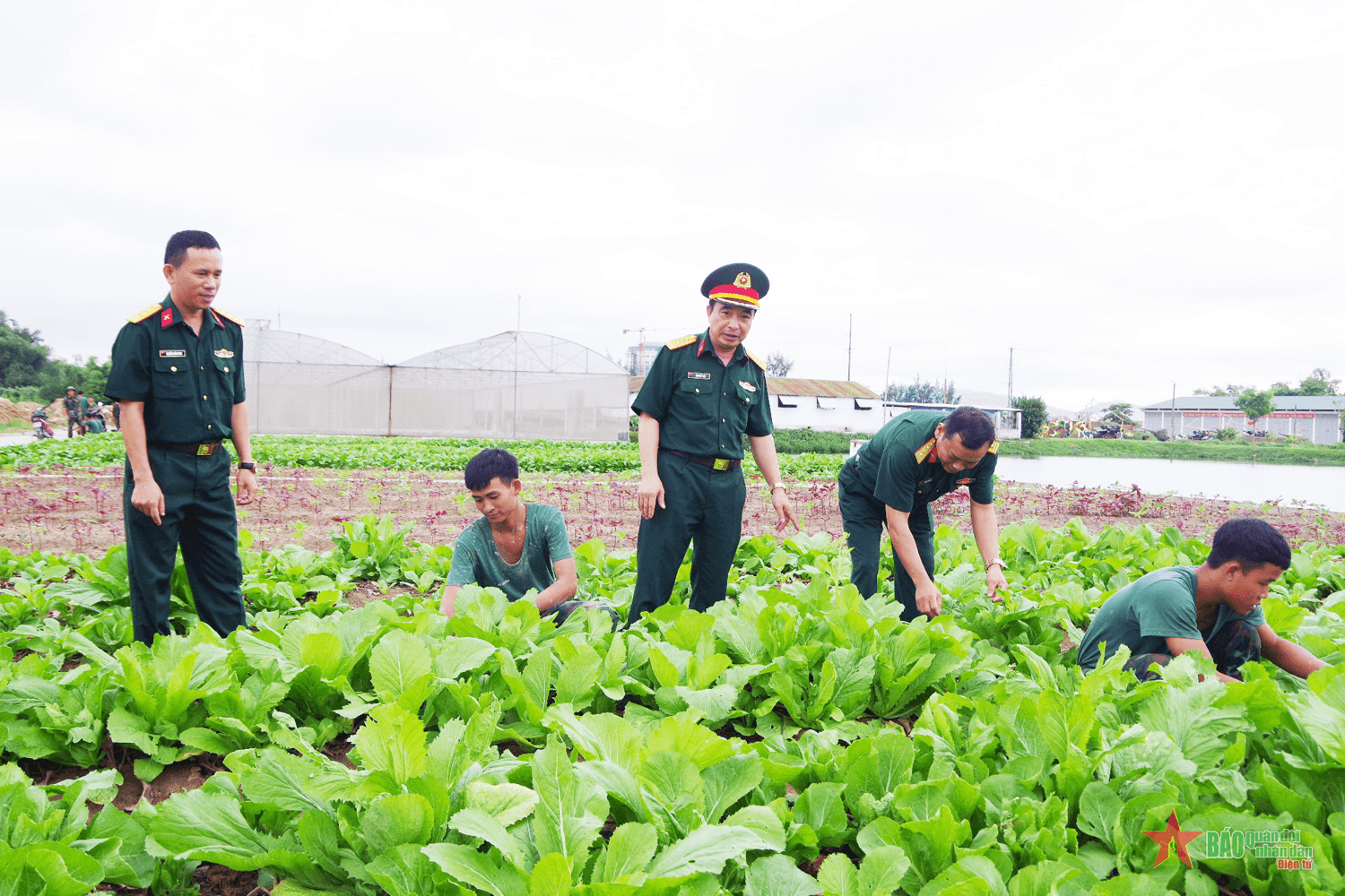Quân khu 4: Kiểm tra kết quả công tác quân nhu tại các đơn vị