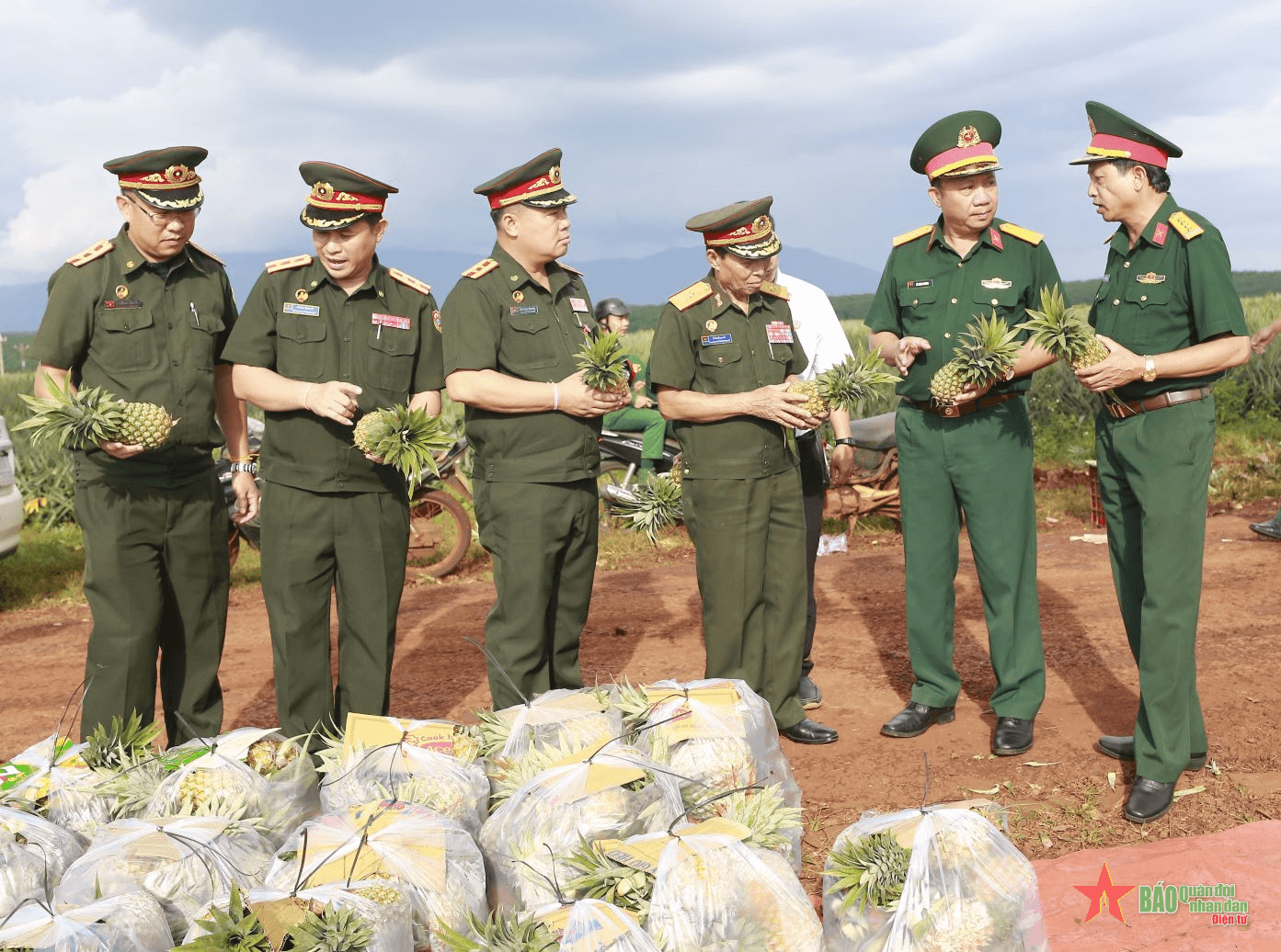 Đoàn công tác Tổng cục Chính trị Quân đội nhân dân Lào tham quan, tìm hiểu thực tế tại Công ty 715 (Binh đoàn 15)