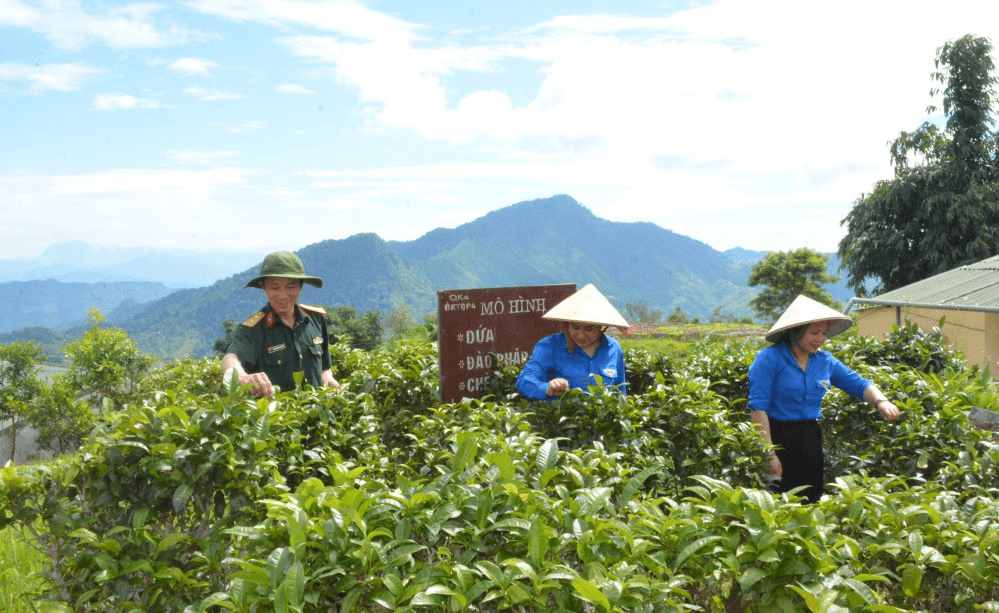Đoàn Kinh tế - Quốc phòng 4 (Quân khu 4): Giúp đồng bào vùng biên xóa đói, giảm nghèo
