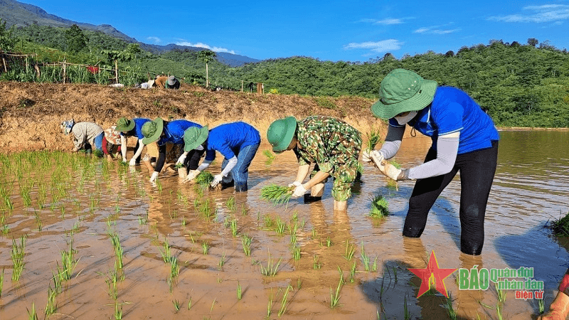 Trí thức trẻ góp sức giúp đồng bào nơi biên giới