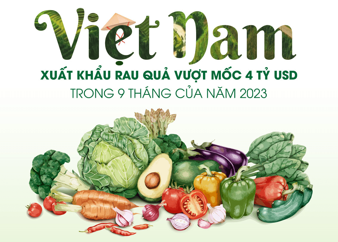 Việt Nam: Xuất khẩu rau quả vượt mốc 4 tỷ USD trong 9 tháng của năm 2023