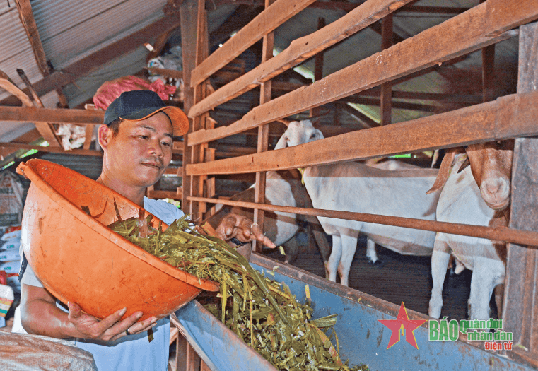 Đa dạng sinh kế cho người dân để phát triển sản xuất nông, lâm nghiệp, phát huy tiềm năng, thế mạnh của các vùng miền để sản xuất hàng hóa theo chuỗi giá trị vùng đồng bào dân tộc thiểu số và miền núi