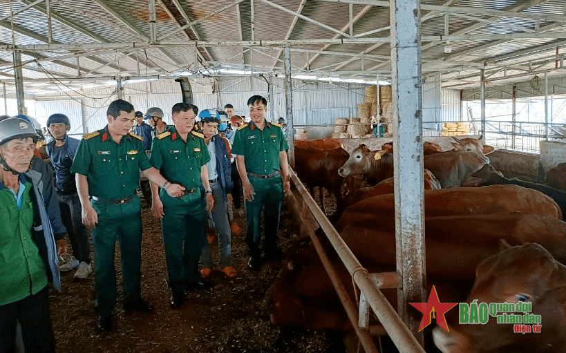 Trung đoàn 726 (Binh đoàn 16) tổ chức tập huấn kỹ thuật chăn nuôi trâu, bò sinh sản cho người dân vùng biên giới