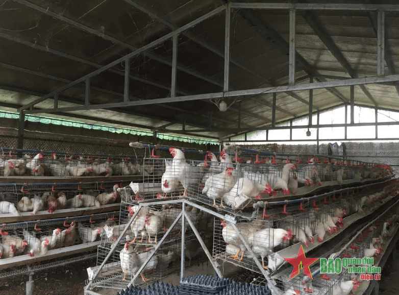 Xây dựng nông thôn mới ở xã Trường Hà