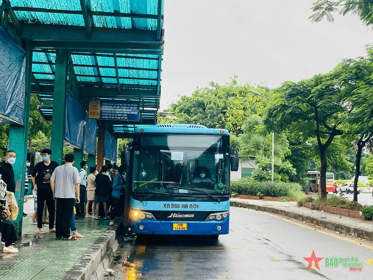 Xây dựng xe buýt Hà Nội ngày càng chất lượng, an toàn, thân thiện