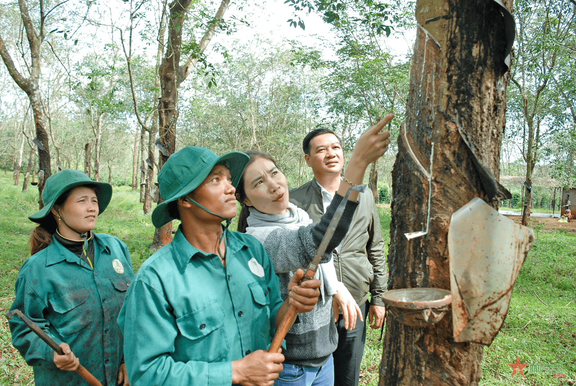 Gia Lai: Để đồng bào dân tộc thiểu số và miền núi an cư, lạc nghiệp, phát triển sản xuất nông, lâm nghiệp, phát huy mọi tiềm năng, thế mạnh trong vùng