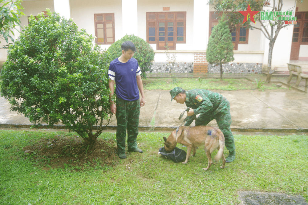 BĐBP tỉnh Sơn La: Chủ động, tích cực tập luyện chuẩn bị cho hội thao huấn luyện chó nghiệp vụ năm 2023