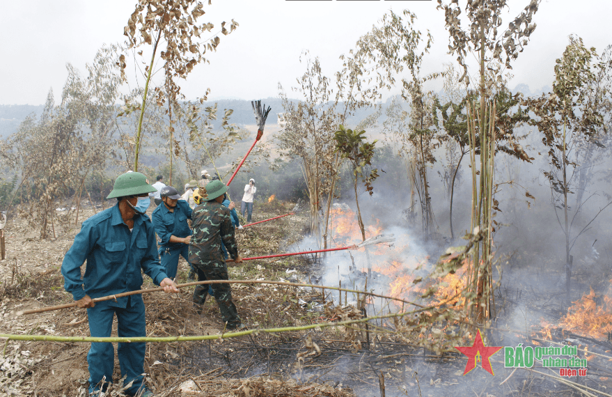 Chủ động phòng, chống cháy rừng Tam Đảo