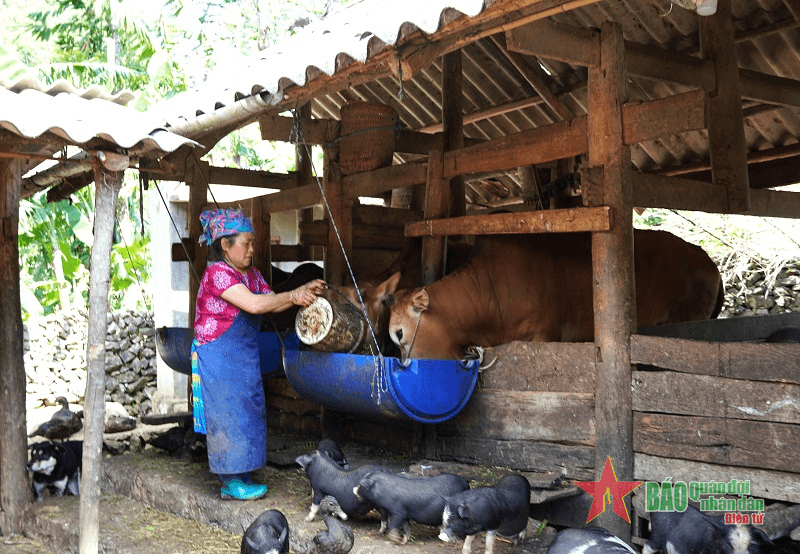 Nỗ lực thoát nghèo bền vững từ các chương trình hỗ trợ giảm nghèo