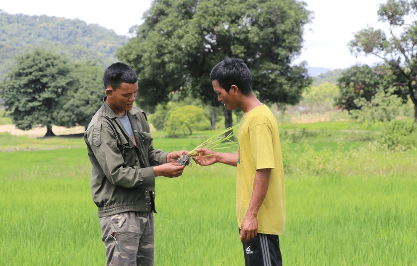 Huy động mọi nguồn lực ưu tiên đào tạo nghề cho lao động dân tộc thiểu số tại các vùng khó khăn ở Gia Lai
