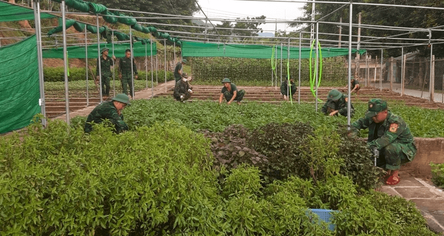 Lãi từ tăng gia sản xuất của toàn quân tăng 7,5% so với cùng kỳ năm 2022